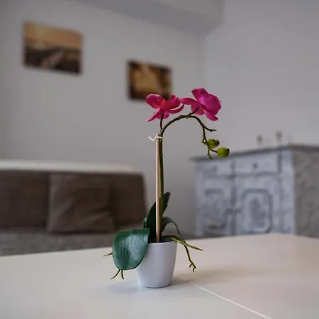 Apart-hotel City Center Stays